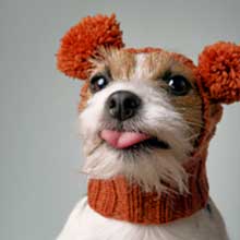 Photo of Pom Pom Pom Pom